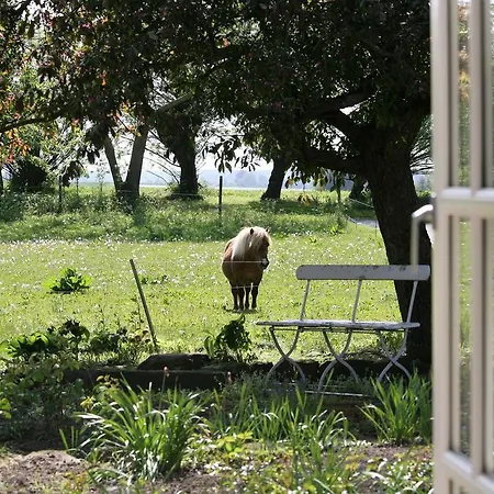 Pa Rodkaergard * קרטמינדה