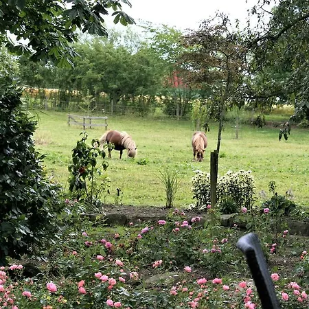 Lejlighed Pa Rodkaergard *