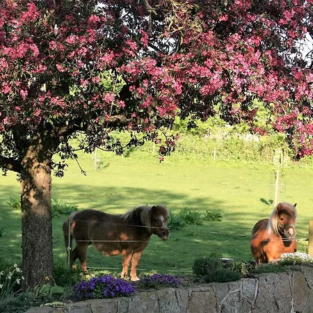 Pa Rodkaergard דירה *