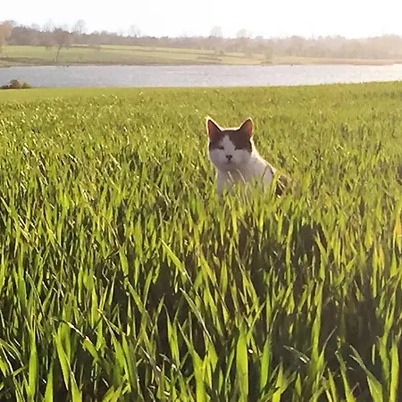 Pa Rodkaergard דירה קרטמינדה