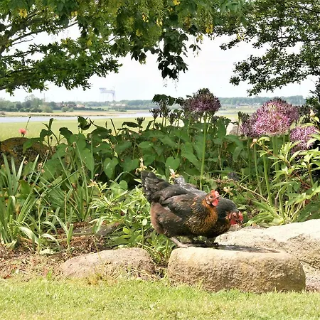 Pa Rodkaergard Lejlighed *