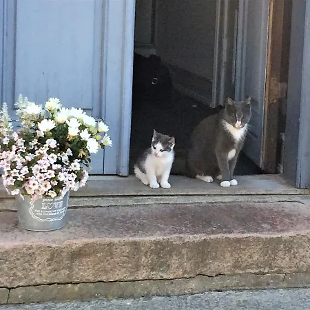 Pa Rodkaergard * Kerteminde