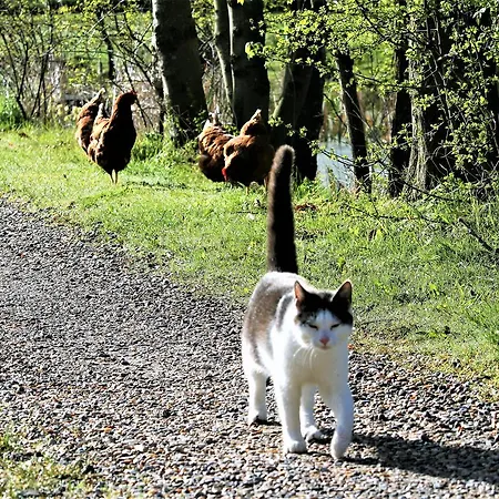 Pa Rodkaergard דירה קרטמינדה